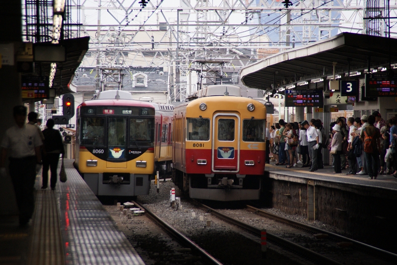 DSC05890.jpg